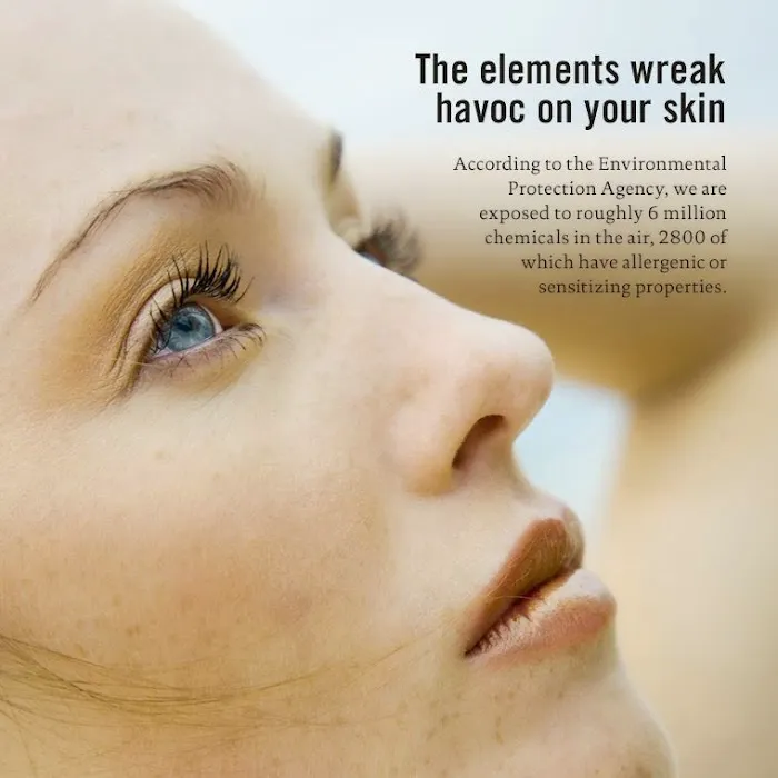 Skin & Tonic Skincare Picture 8