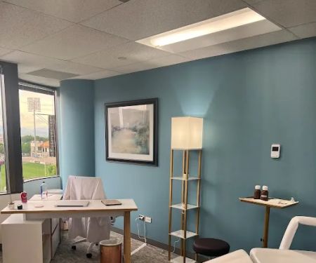 The Natural Aesthetic, LLC