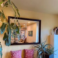 Pure Dermal Care ico