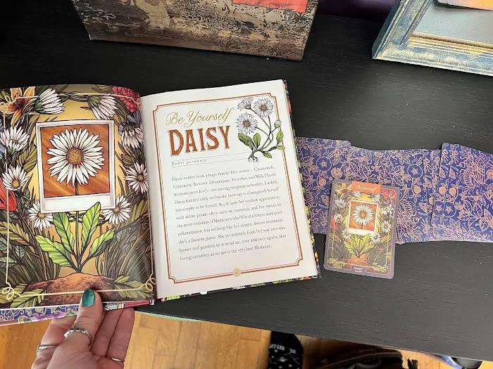 Illuminate Aesthetics Picture 5