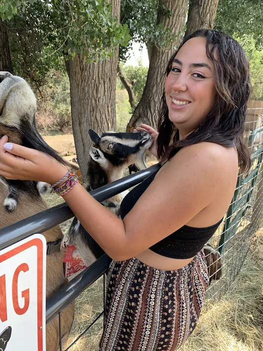 Aesthetics by Constance Picture 8