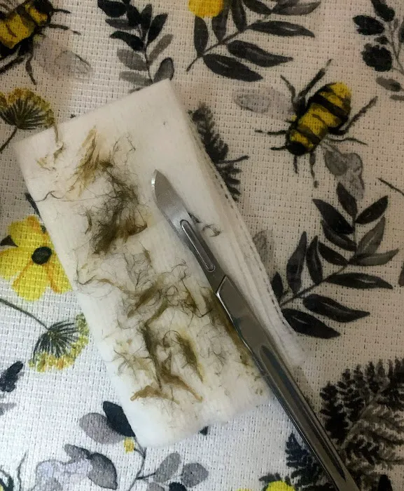 Queen B Esthetics Picture 5