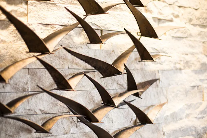 Northpoint Surgery & Aesthetics Picture 2