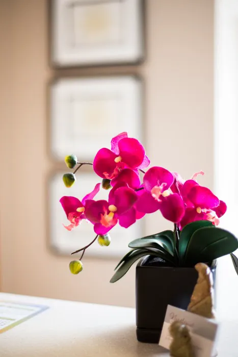 Northpoint Surgery & Aesthetics Picture 8