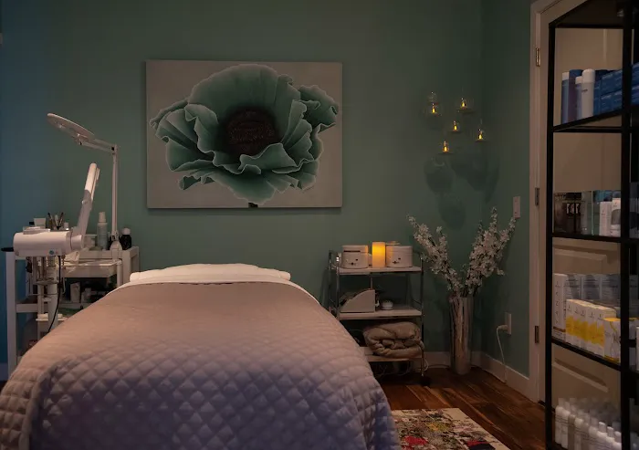 Advanced Skincare by Lisa Castro, LLC Picture 8