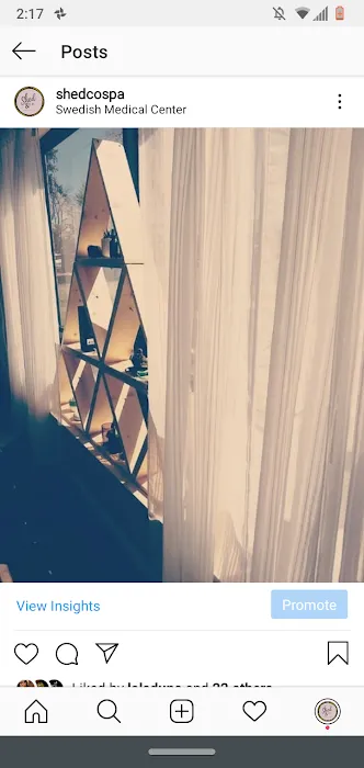 Succulent Skin Studio Picture 8