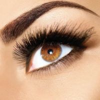 Alchemy Aesthetics Denver ico