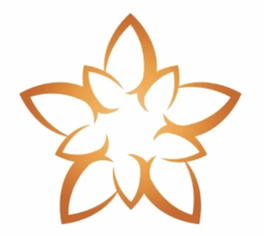 Skin Care Essentials Picture 7