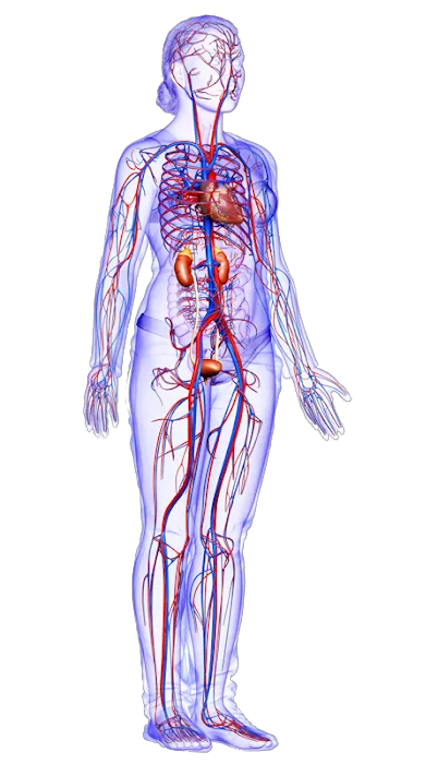 Kaufman Health & Hormone Center Picture 9