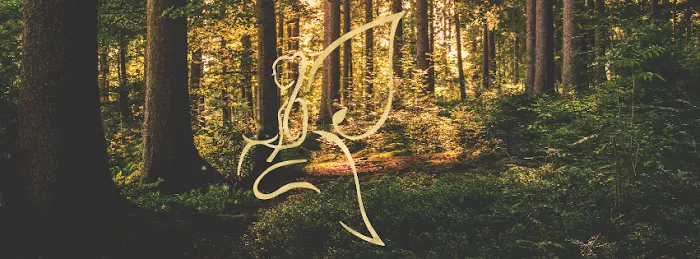 The Hidden Spa Picture 8