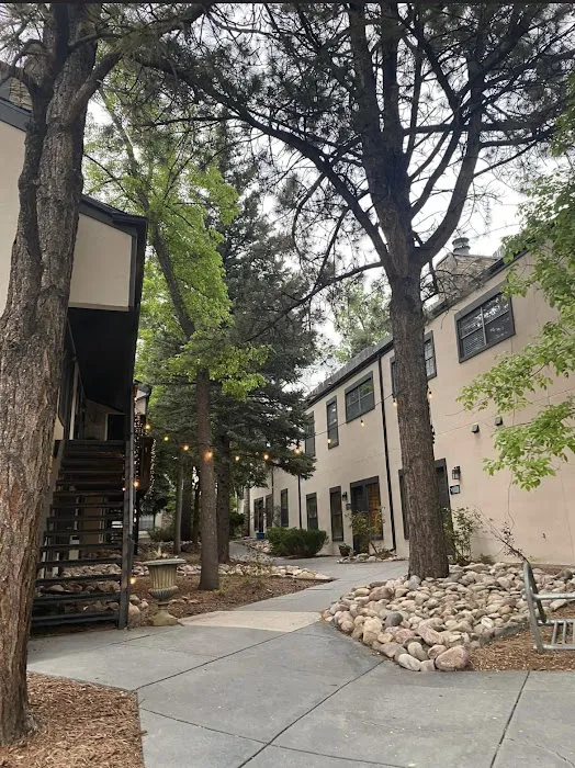 Allure Aesthetics Picture 3