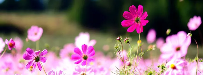 Skincare by Emilia Picture 2