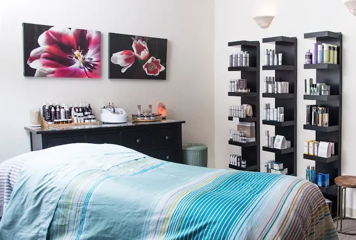 Pink Tulip Picture 1