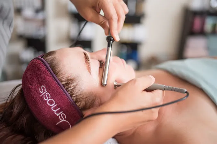 Pink Tulip Picture 5