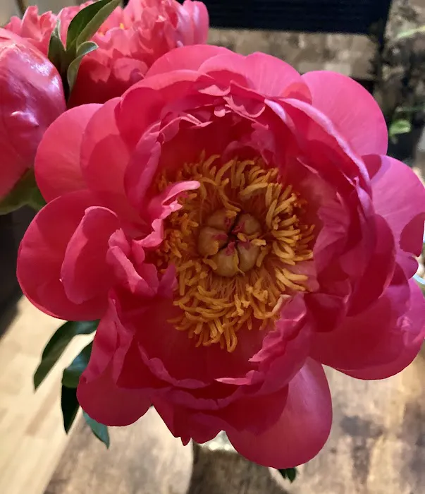 Julia March Skin Care, LLC Picture 9