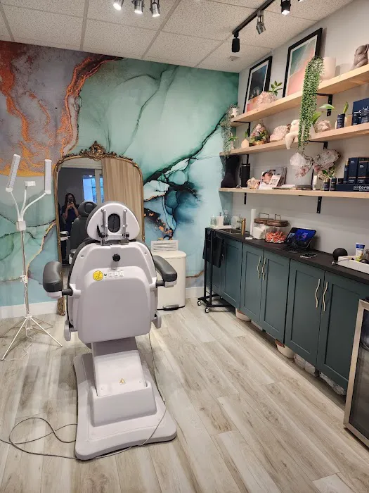 The Ohm Aesthetic Picture 5