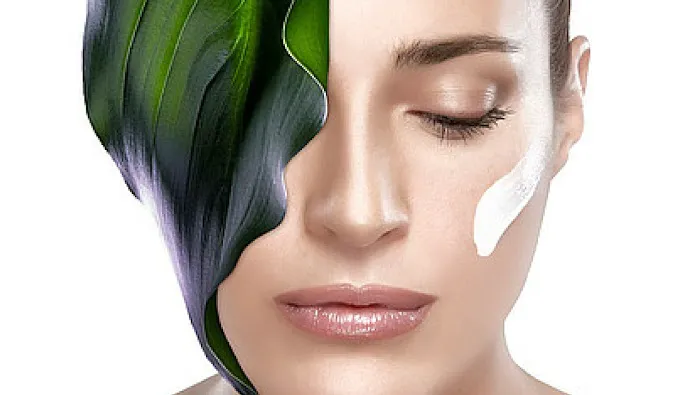 Bloom Botanicals Picture 1