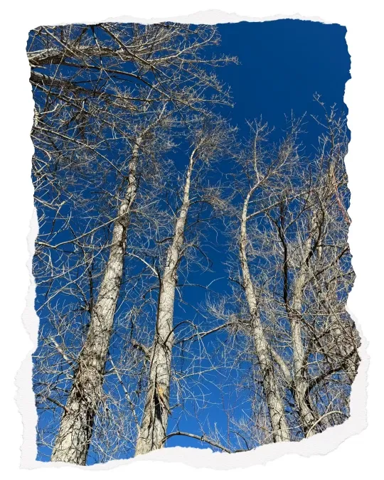 Sasha's Skincare Studio Picture 1