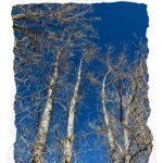 Sasha's Skincare Studio