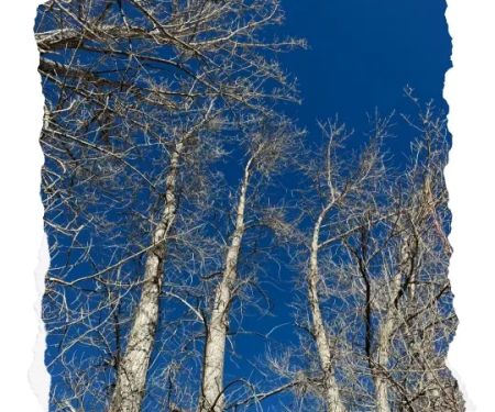 Sasha's Skincare Studio