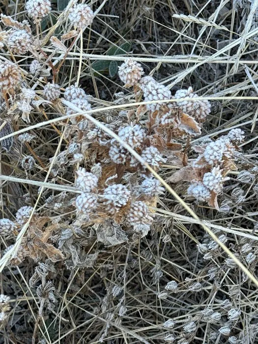 Sasha's Skincare Studio Picture 3