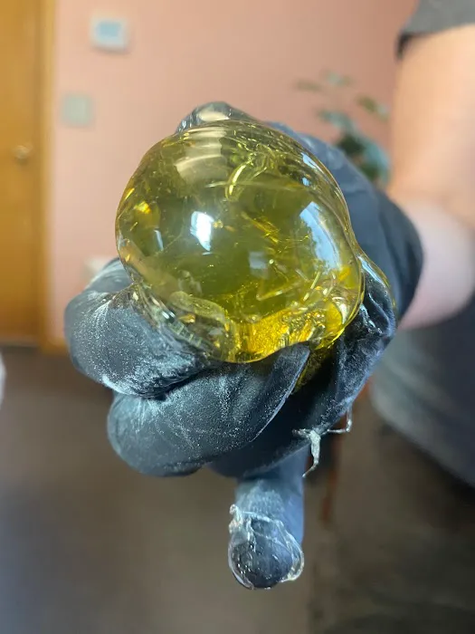 Sasha's Skincare Studio Picture 4