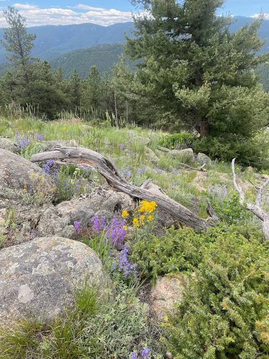 Sasha's Skincare Studio Picture 7