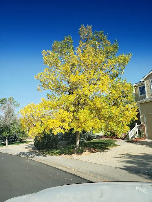 Skin by Tatyana Picture 7