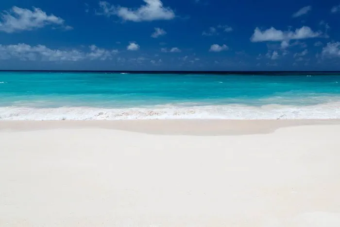 Sacred Serenity Skincare and Body Kurs Picture 6