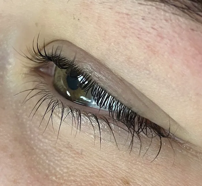 Novum Skin Picture 4