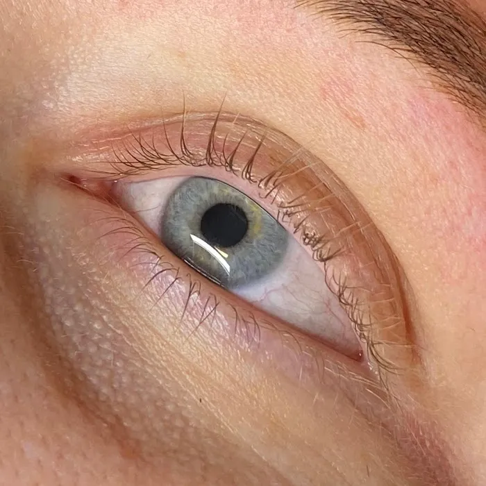 Novum Skin Picture 3