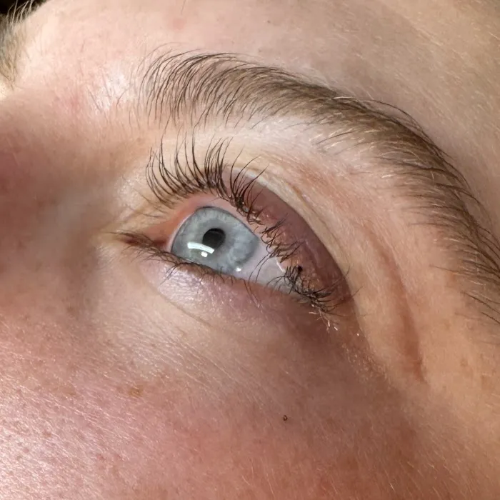 Novum Skin Picture 8