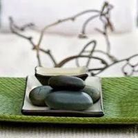 Evolution Skin Spa ico