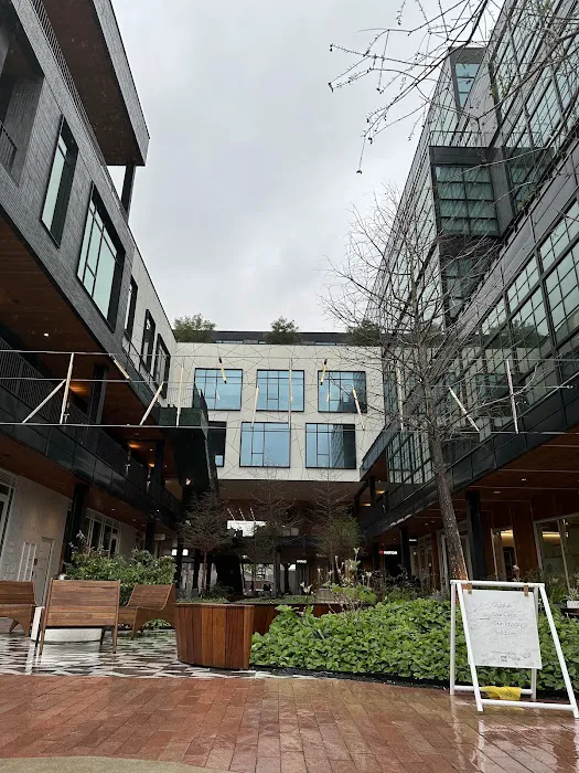 Skin Laundry - Montrose Collective Picture 6