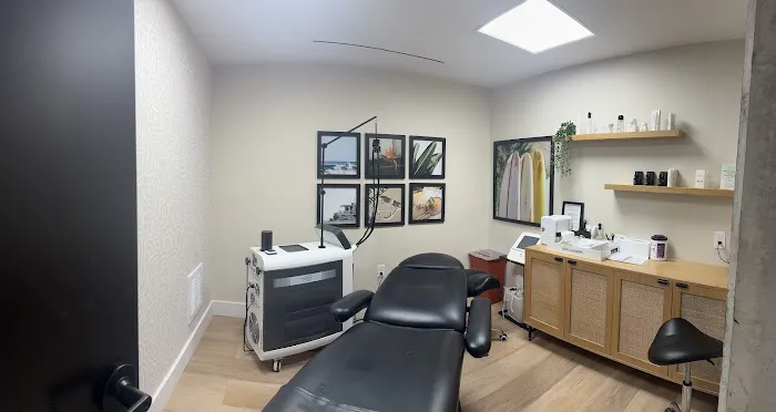 Skin Laundry - Montrose Collective Picture 8