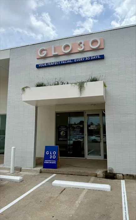 GLO30 Houston Montrose Picture 1