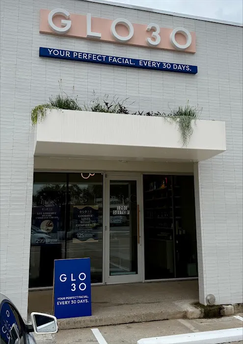 GLO30 Houston Montrose Picture 5