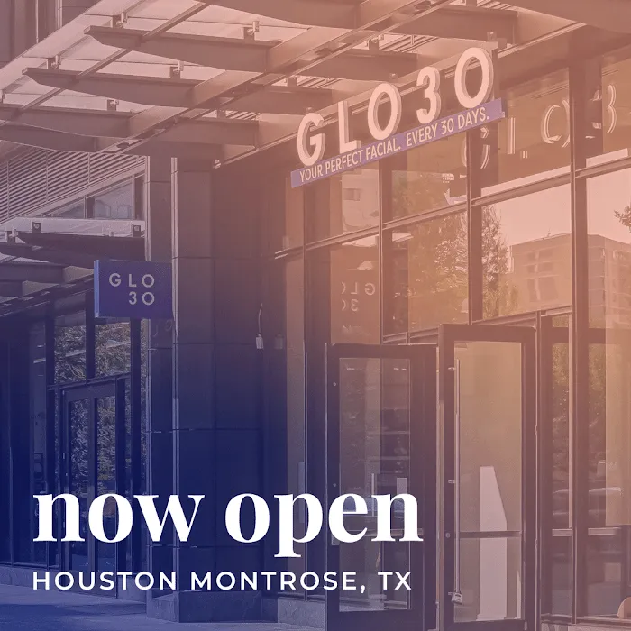 GLO30 Houston Montrose Picture 8