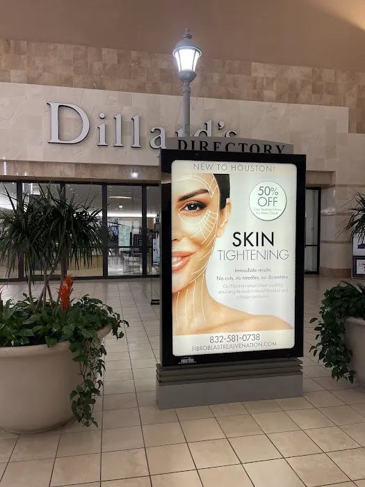 Fibroblast Skin Rejuvenation Picture 2