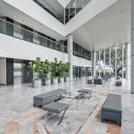 Fibroblast Skin Rejuvenation