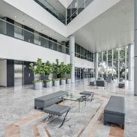 Fibroblast Skin Rejuvenation ico