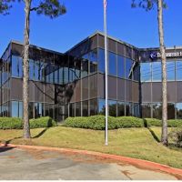 Pure Perfection Skin Care ico