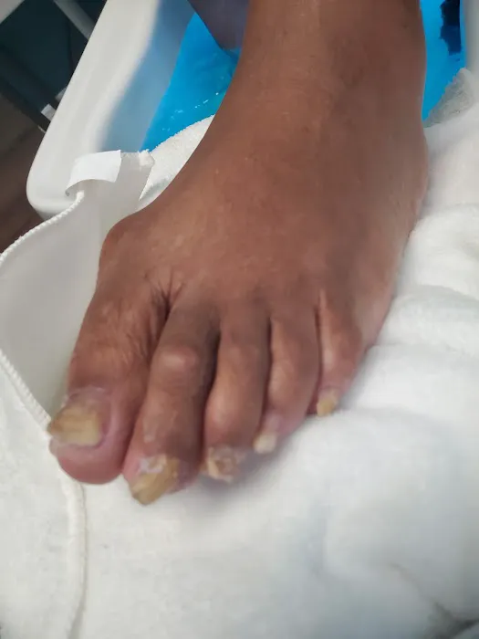 THE FANCY PANTY HUT, LLC Picture 5