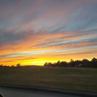 Romina Skin Essentials Houston ico