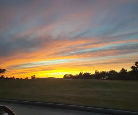 Romina Skin Essentials Houston