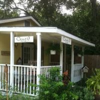 Cloud 9 Skin Care ico