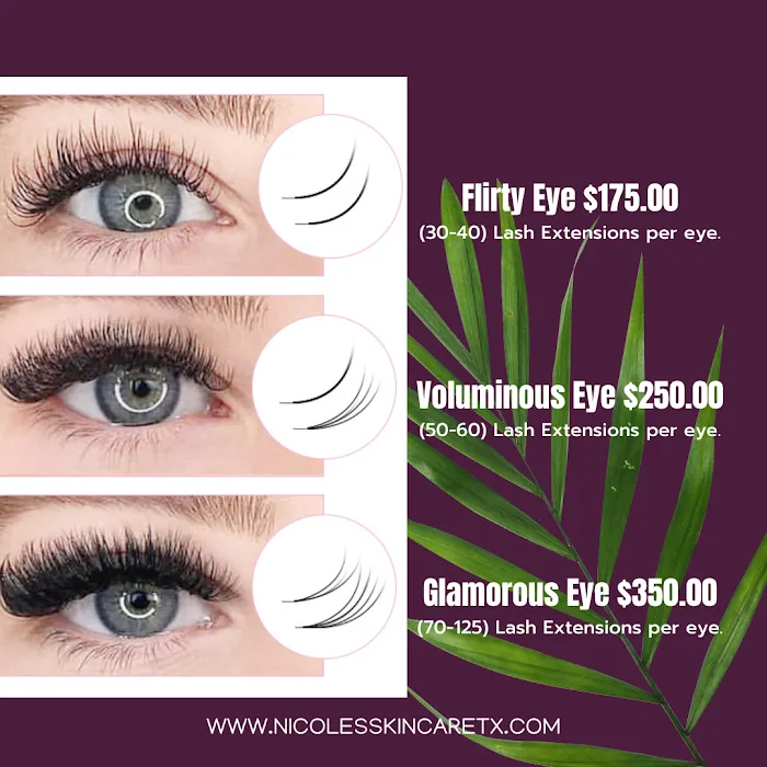 Nicole's Skin Care Picture 4