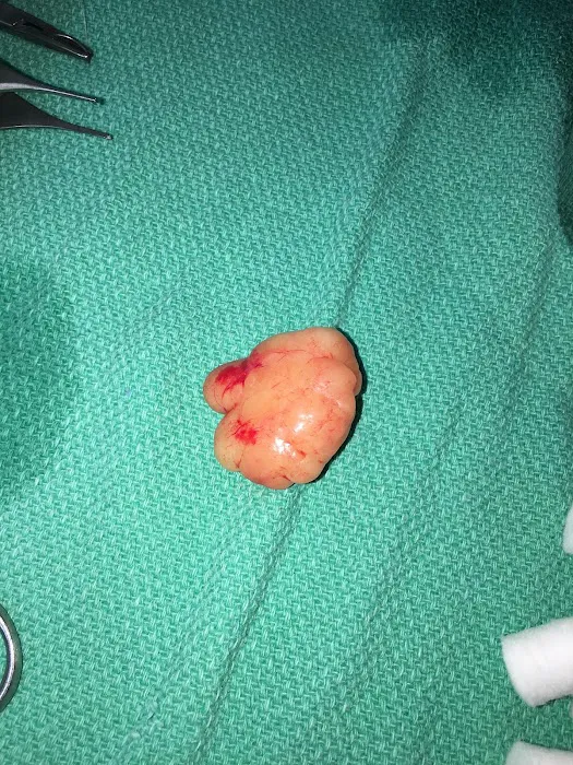 Texas Surgical Dermatology PA Picture 5