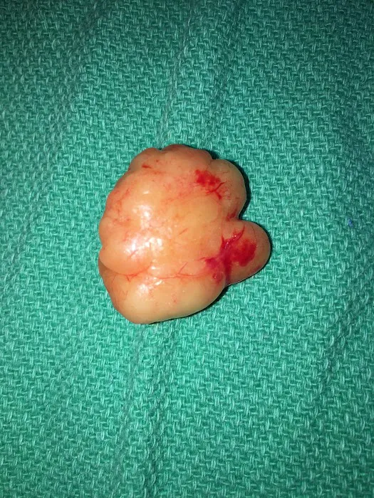 Texas Surgical Dermatology PA Picture 6