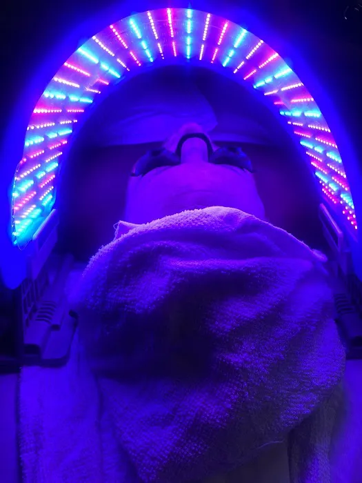 Skynvy Houston Picture 6